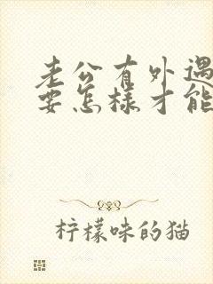 老公有外遇了我要怎样才能挽回他的心