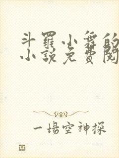 斗罗小舞的堕落小说免费阅读