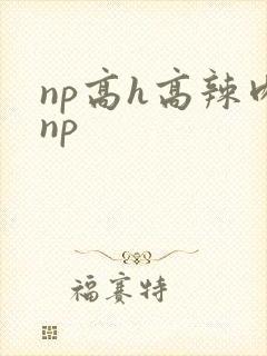 np高h高辣肉np