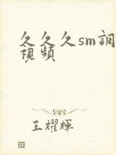 久久久sm调教视频