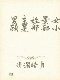 男主姓景女主姓顾是哪部小说