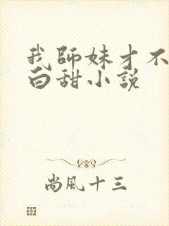 我师妹才不是傻白甜小说