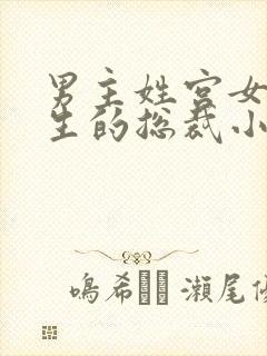 男主姓宫女主重生的总裁小说