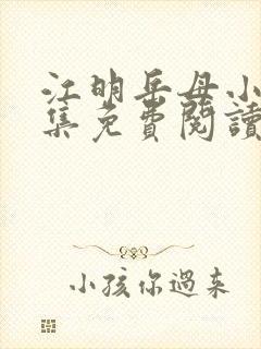 江明岳母小说全集免费阅读封面