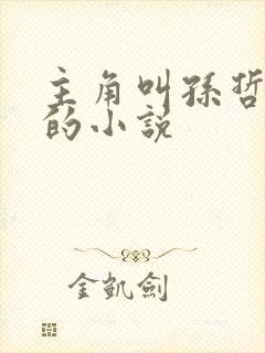 主角叫孙哲叶巧的小说