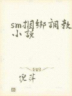 sm捆绑调教女小说