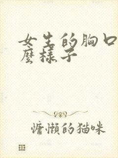 女生的胸口长什么样子