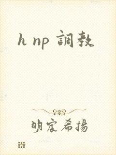 h np 调教