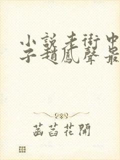 小说老街中的痞子赵凤声最新篇章封面