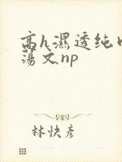 高h湿透纯肉放荡文np