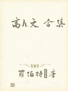 高h文 合集