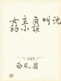 女主角叫沈青岚的小说