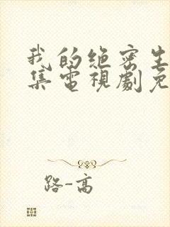 我的绝密生涯全集电视剧免费观看