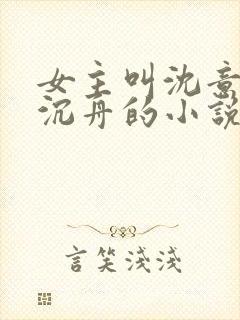 女主叫沈意欢陆沉舟的小说