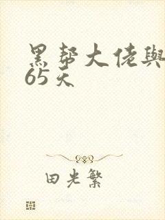 黑帮大佬与我365天