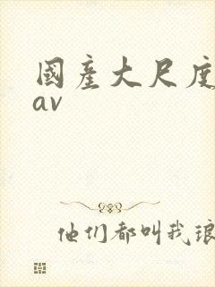 国产大尺度不卡av封面