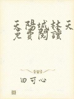 天阳城林天小说免费阅读封面