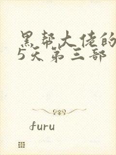 黑帮大佬的365天第三部