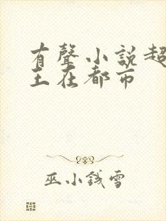 有声小说超级兵王在都市