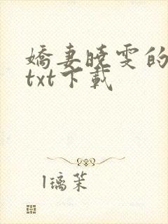 娇妻晓雯的小说txt下载