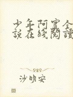 少年阿宾全文小说在线阅读