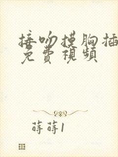 接吻摸胸插下面免费视频