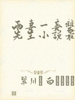 两妻一妾双头角先生小说最新章节更