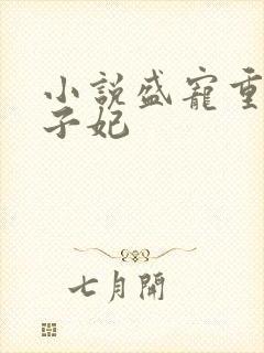 小说盛宠重生世子妃