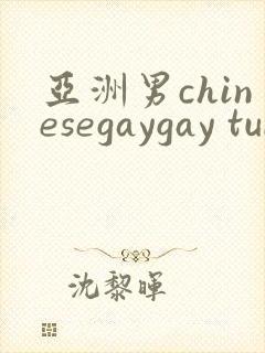 亚洲男chinesegaygay tube
