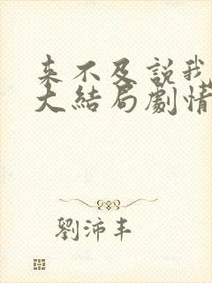 来不及说我爱你大结局剧情介绍封面