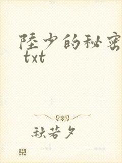 陆少的秘密恋人 txt