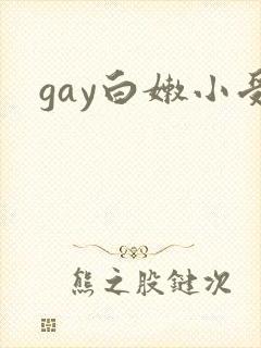 gay白嫩小受