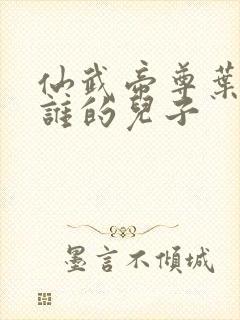 仙武帝尊叶辰是谁的儿子