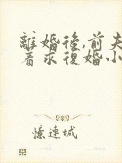 离婚后,前夫哭着求复婚小说全文在线阅读