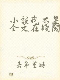 小说我不是戏神全文在线阅读