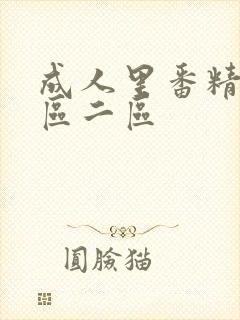 成人里番精品一区二区