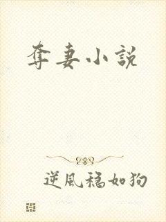 夺妻小说