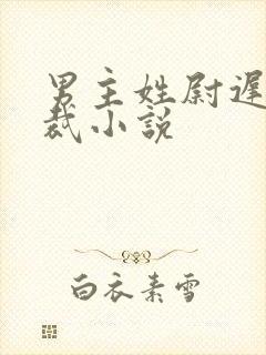 男主姓尉迟的总裁小说