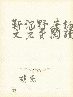 靳沉野唐栖雾全文免费阅读封面