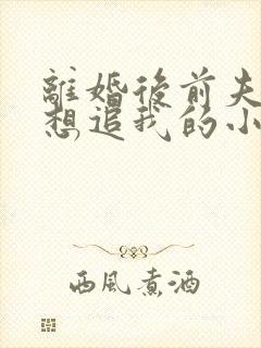 离婚后前夫总是想追我的小说