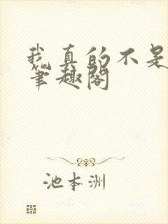 我真的不是影帝笔趣阁