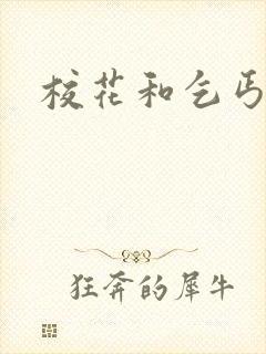 校花和乞丐更新