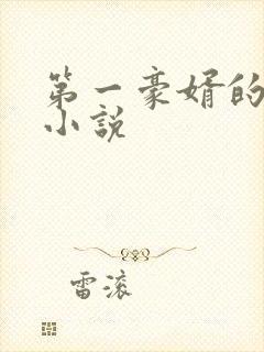 第一豪婿的全部小说