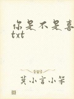 你是不是喜欢我txt