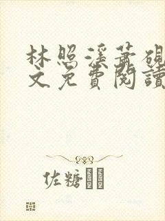 林照溪萧砚川全文免费阅读封面