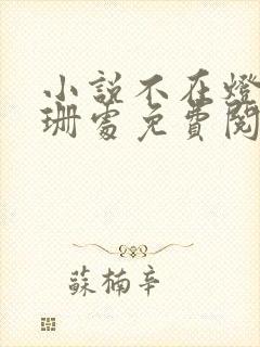 小说不在灯火阑珊处免费阅读