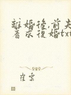 离婚后,前夫哭着求复婚txt