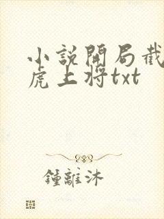 小说开局截胡五虎上将txt