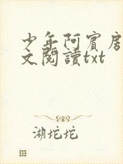 少年阿宾房东全文阅读txt