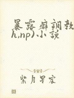 暴露癖调教(高h,np)小说封面